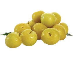 Imagem do produto ameixa amarela auchan kg