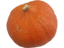 Imagem do produto abóbora hokkaido kg