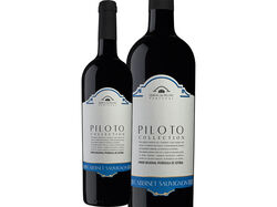 Imagem do produto vinho tinto piloto collection cabernet setúbal 0.75l