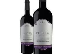 Imagem do produto vinho tinto piloto collection touriga nacional 0.75l