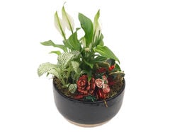 arranjo de plantas decoração natal vaso 21 modelos sortidos product image