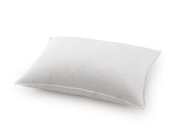 Imagem do produto almofada homespecial 100% pol. 45x65 cm