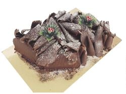 Imagem do produto tronco de chocolate 800g
