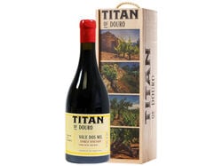 Imagem do produto vinho tinto titan vale dos mil douro 1.5l