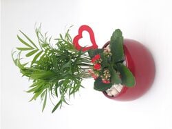 arranjo de plantas em vaso decoração namorados vaso 15 product image