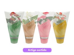 Imagem do produto anthurium mix . pascoa v.12 s/d