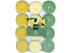 Imagem do produto tealights aromático actuel baunilha