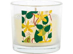 vela aromática actuel vidro baunilha product image