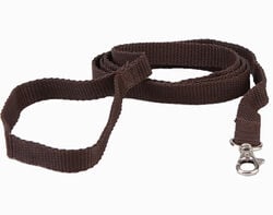 trela mmpet nylon básica castanho 20mm product image