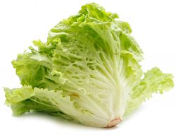 Imagem do produto alface frisada kg