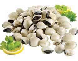 Imagem do produto ameijoa vietnamita congelada kg