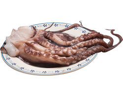 Imagem do produto tentaculos pota congelados kg