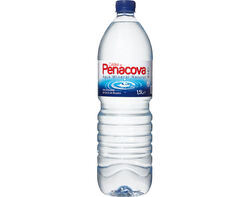 Imagem do produto água caldas de penacova sem gás 1.5l