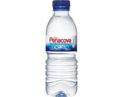 Imagem do produto água caldas de penacova 0.33l