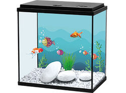 Imagem do produto aquario em kit aquatlantis c/filtro interior preto 35cm