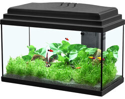 Imagem do produto aquário aquatlantis bermudes 60 preto 60x30x42.5cm