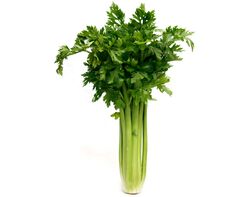 Imagem do produto aipo com rama kg