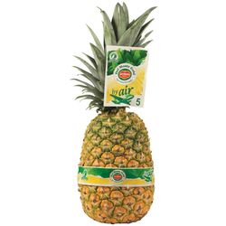 Imagem do produto abacaxi via aérea kg