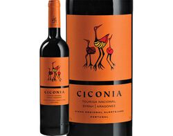 Imagem do produto vinho tinto ciconia regional alentejo 0.75l