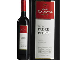 Imagem do produto vinho tinto vinha padre pedro 0.75l