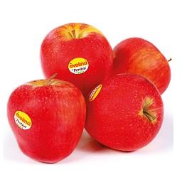 Imagem do produto Maçã Evelina Perlim