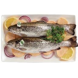 Imagem do produto Truta Salmonada