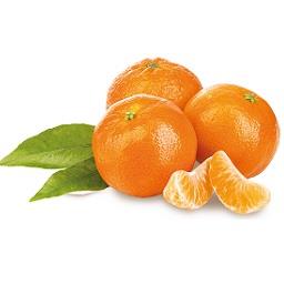 Imagem do produto Clementinas