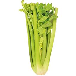 Imagem do produto Aipo