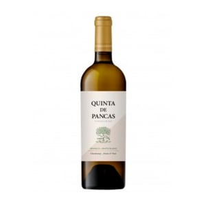 Vinho Branco Quinta de Pancas Lisboa product image