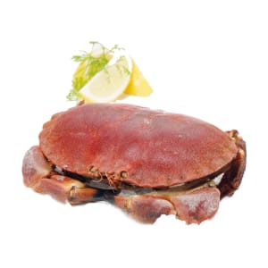 Sapateira Congelada - Unidade 0.8 Kg product image