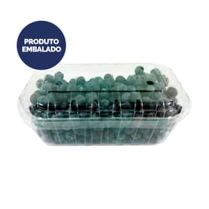Mirtilo - Embalagem 0.15 Kg product image